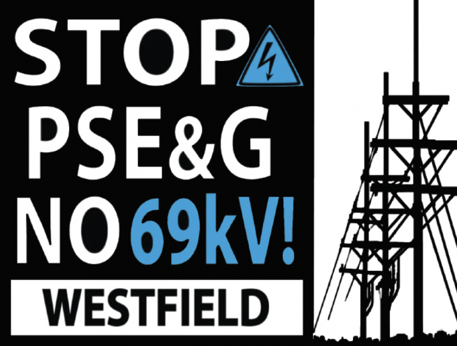 The logo for the “No Monster Power Lines” petition