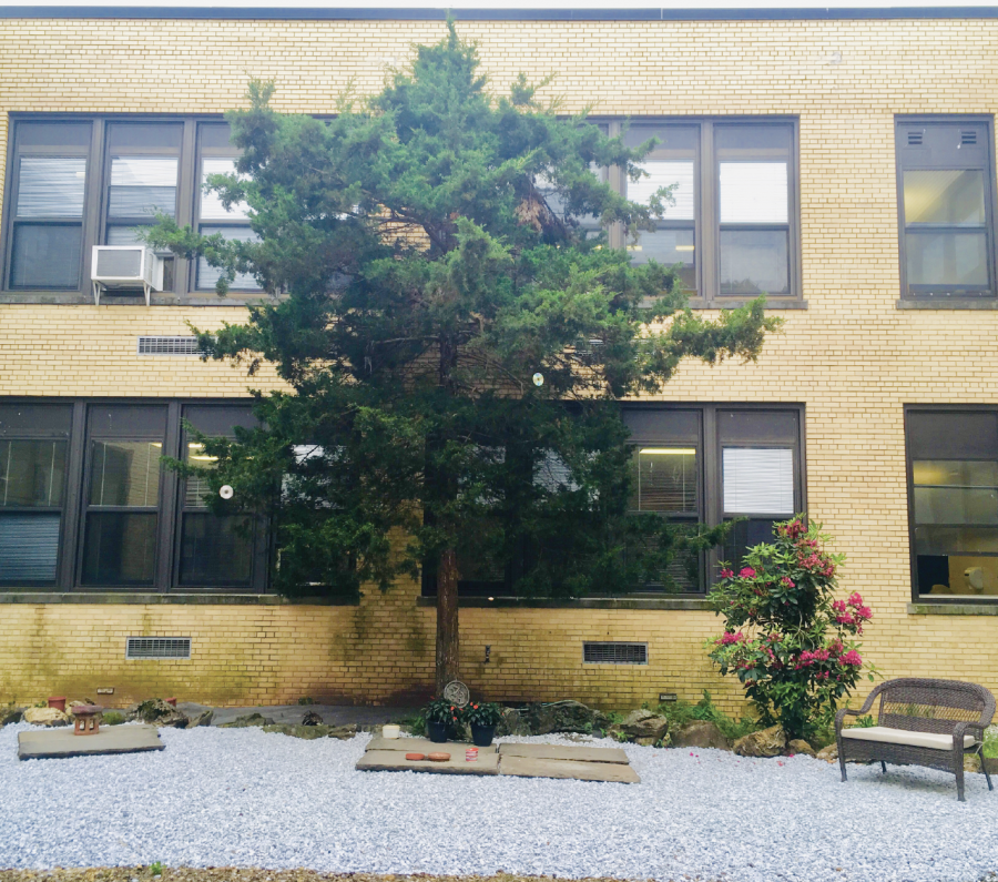 WHS’ forgotten courtyard brought back to life again
