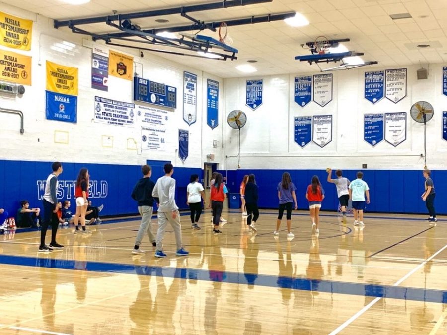 Sophomore PE class playing tchoukball