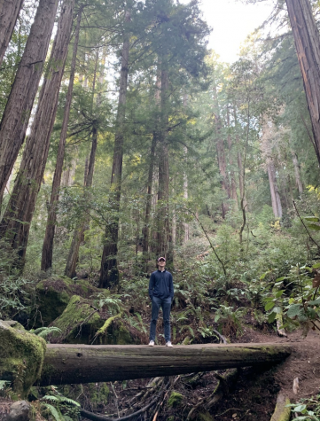 Tommy Davis at Muir Woods, a National Monument in California he hopes to revisit during his gap year