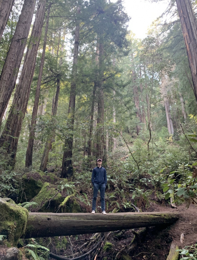 Tommy Davis at Muir Woods, a National Monument in California he hopes to revisit during his gap year