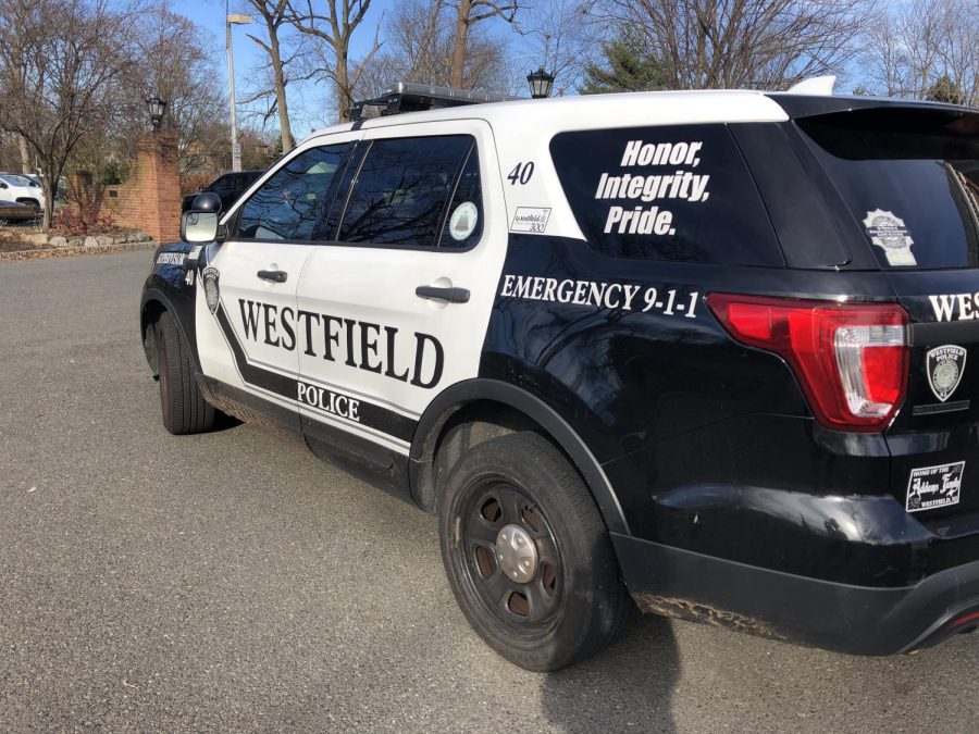 Police car parked in front of Mindowaskin Park