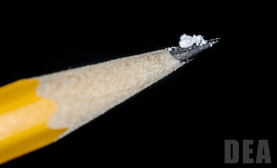 An authentic lethal dose of fentanyl is displayed on the point of a number 2 pencil for size reference