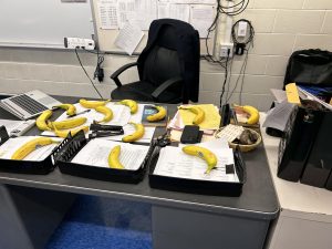 English Teacher David Della Fera’s desk covered in bananas